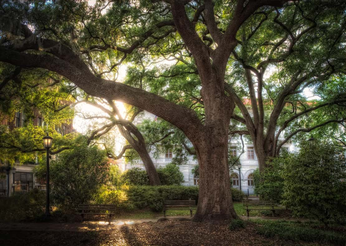 A photo of the haunted Wright Square in Savannah, Georgia, Ghost City Tours' Dead of Night Tour.