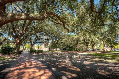 Una foto de la histórica y embrujada Plaza Calhoun, que se encuentra en el distrito histórico de Savannah Georgia.