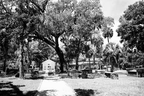 Graves at the Tolomato Cemetery, which is said to be one of the most haunted cemeteries in St. Augustine.