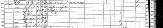 Benjamin Wilson Census for 432 Abercorn Street