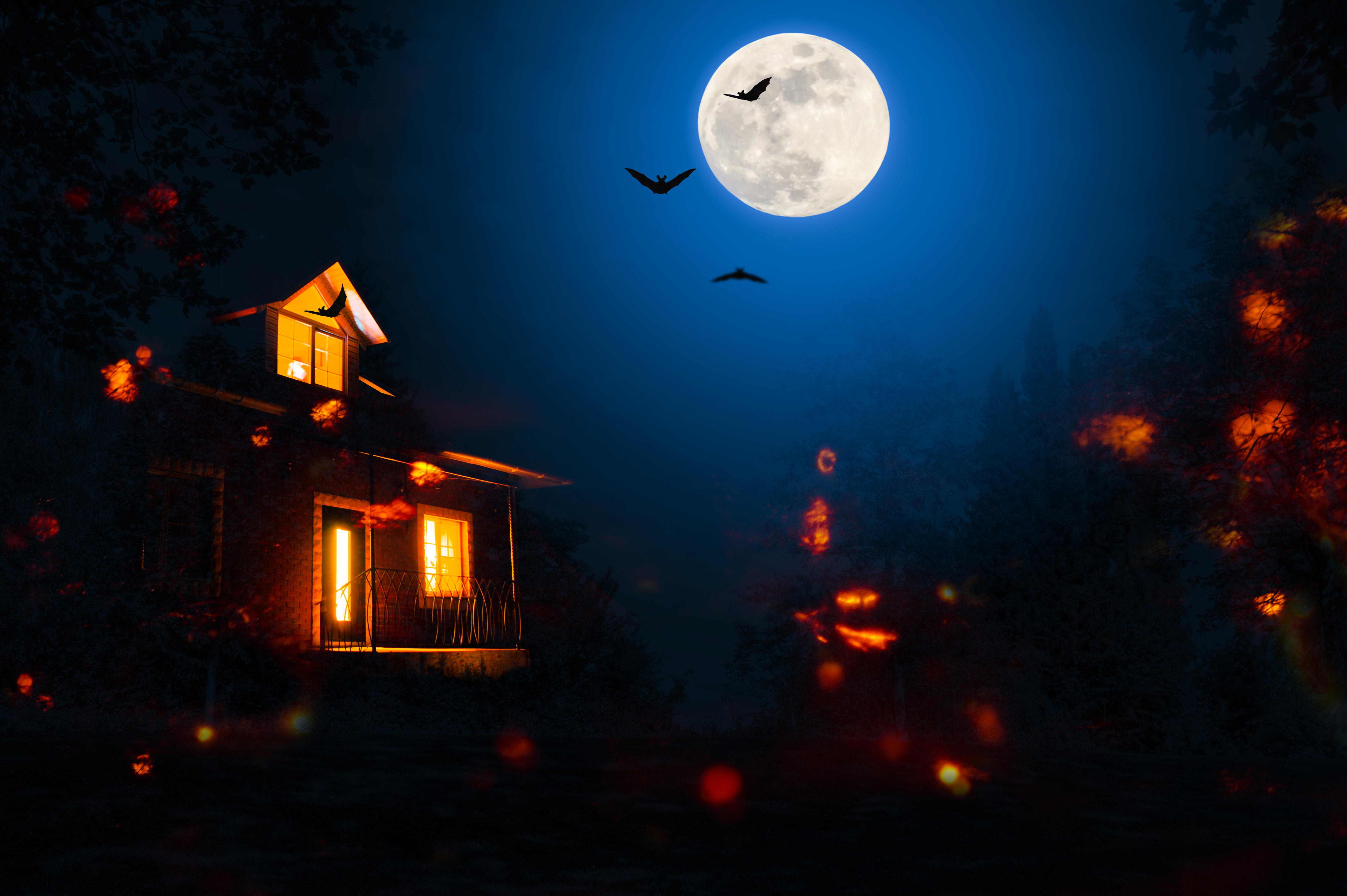 A Spooky House