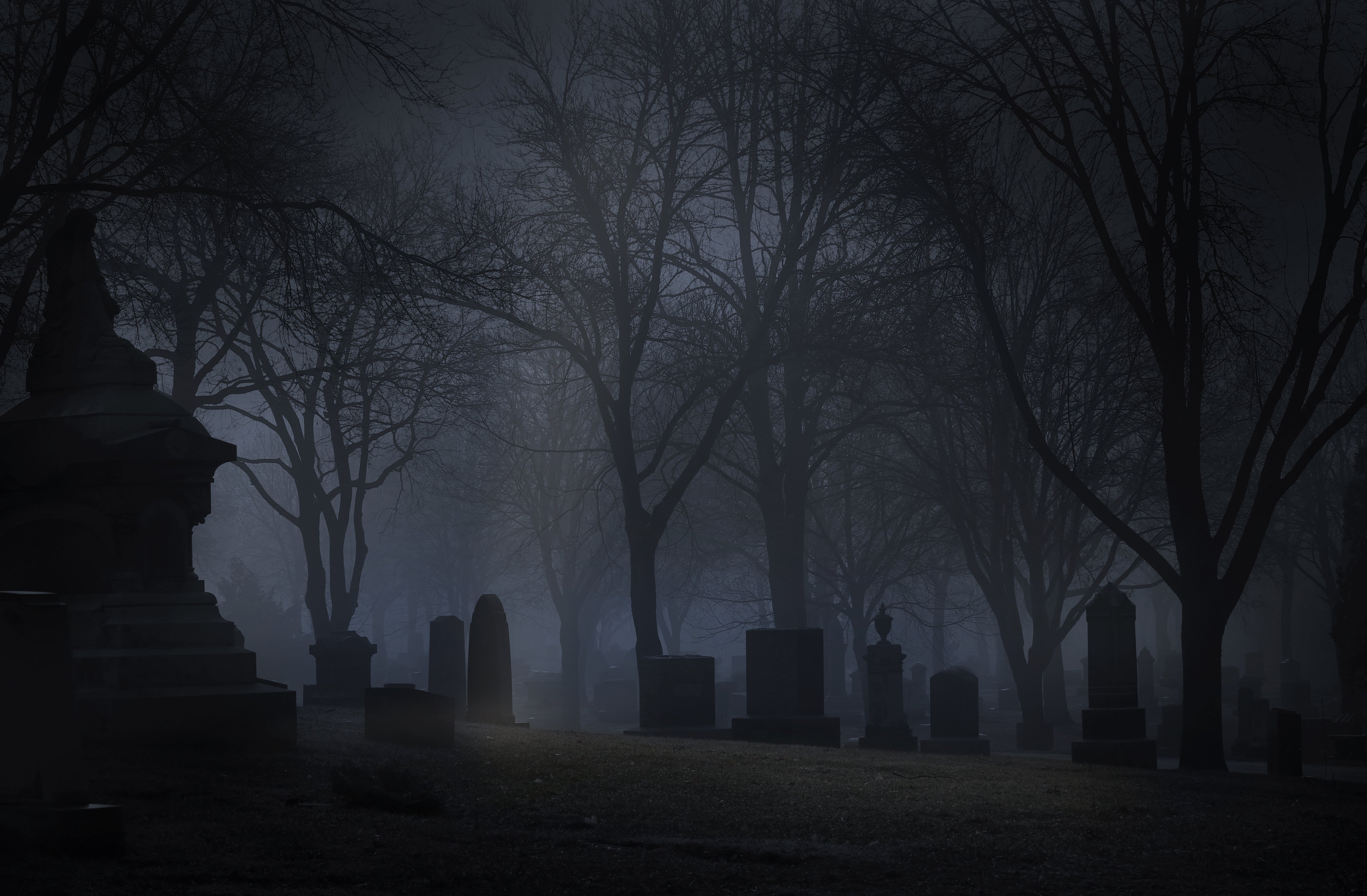 The Haunted Bachelor's Grove Cemetery | Haunted Chicago