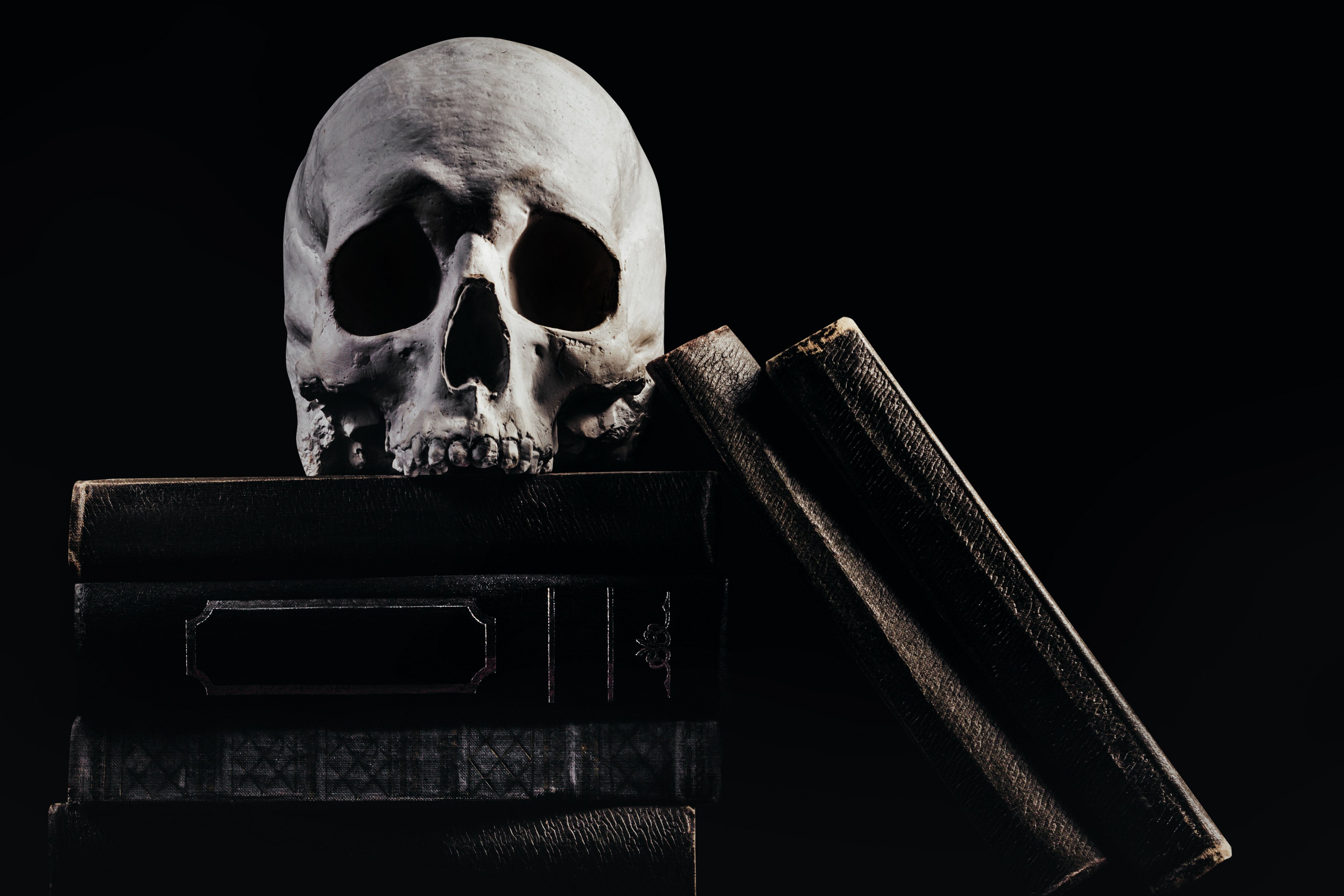 Skull with Books