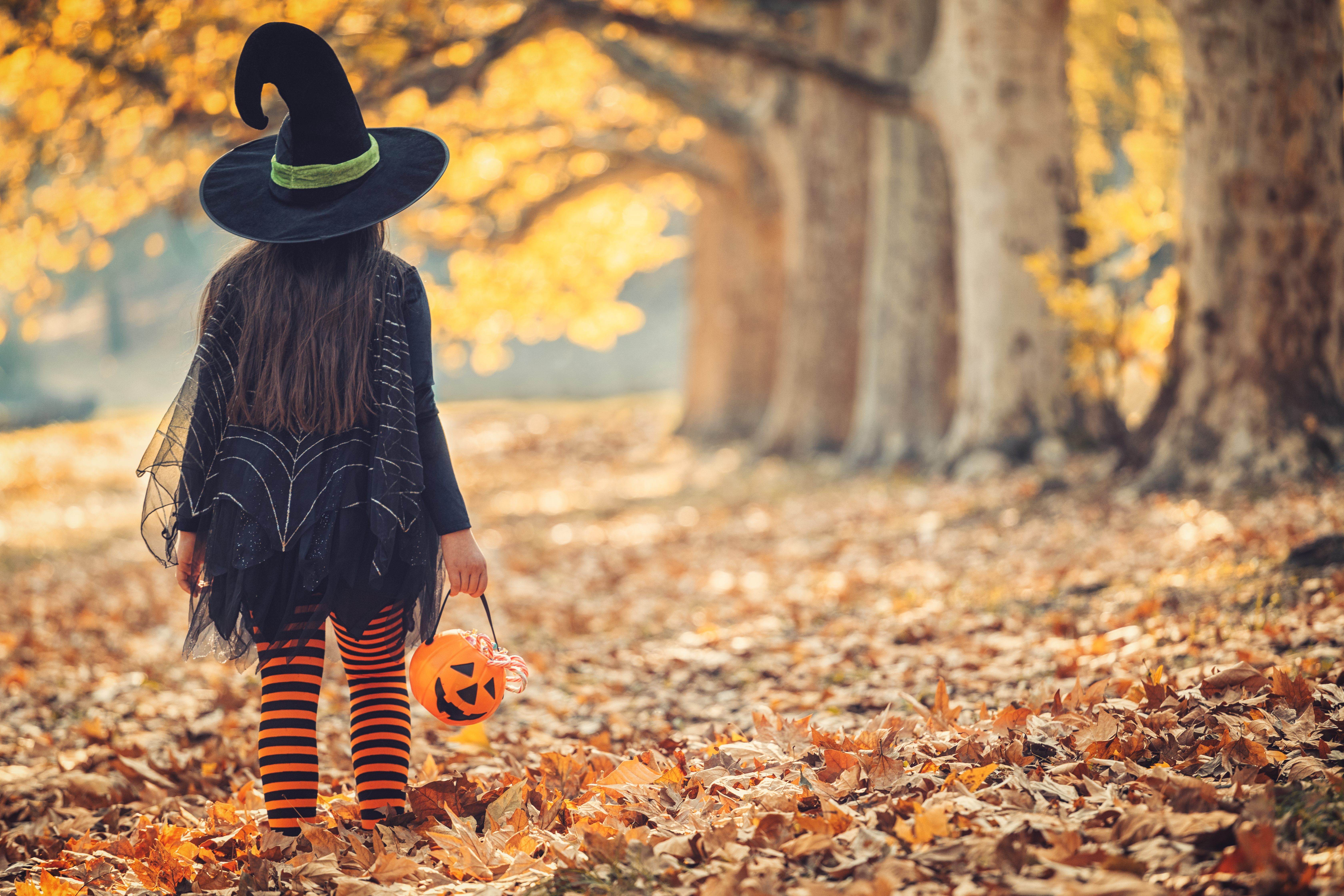 A Girl in a Witch Costume