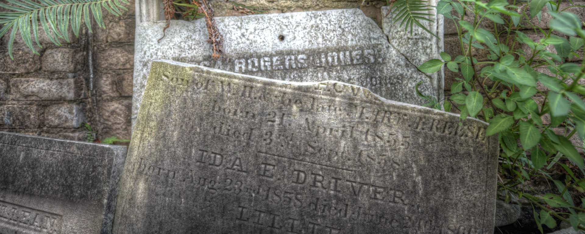 El muro del cementerio Lafayette, uno de los cementerios del Garden District. Se dice que está perseguido por fantasmas.