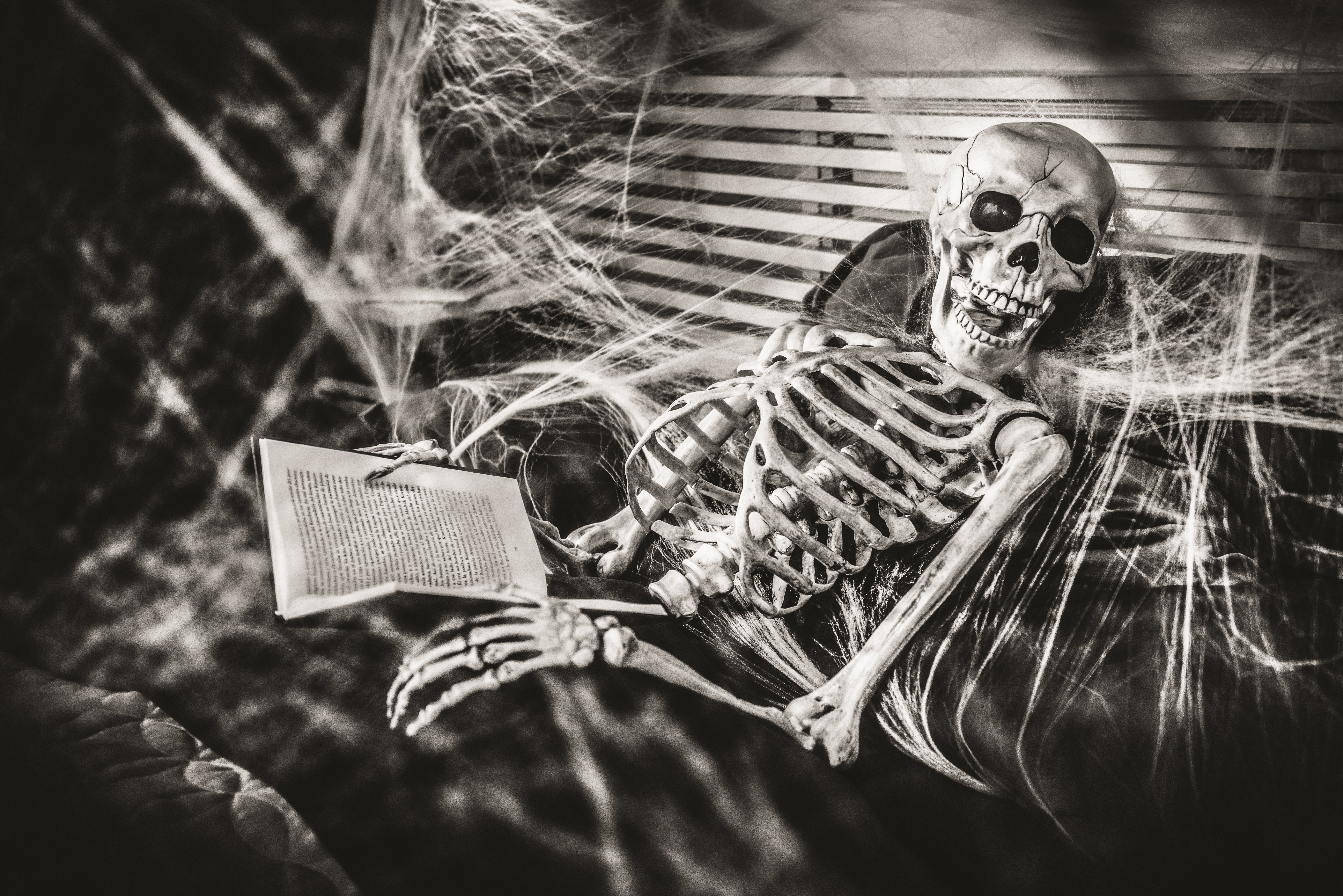 The Skeleton Reading a Book