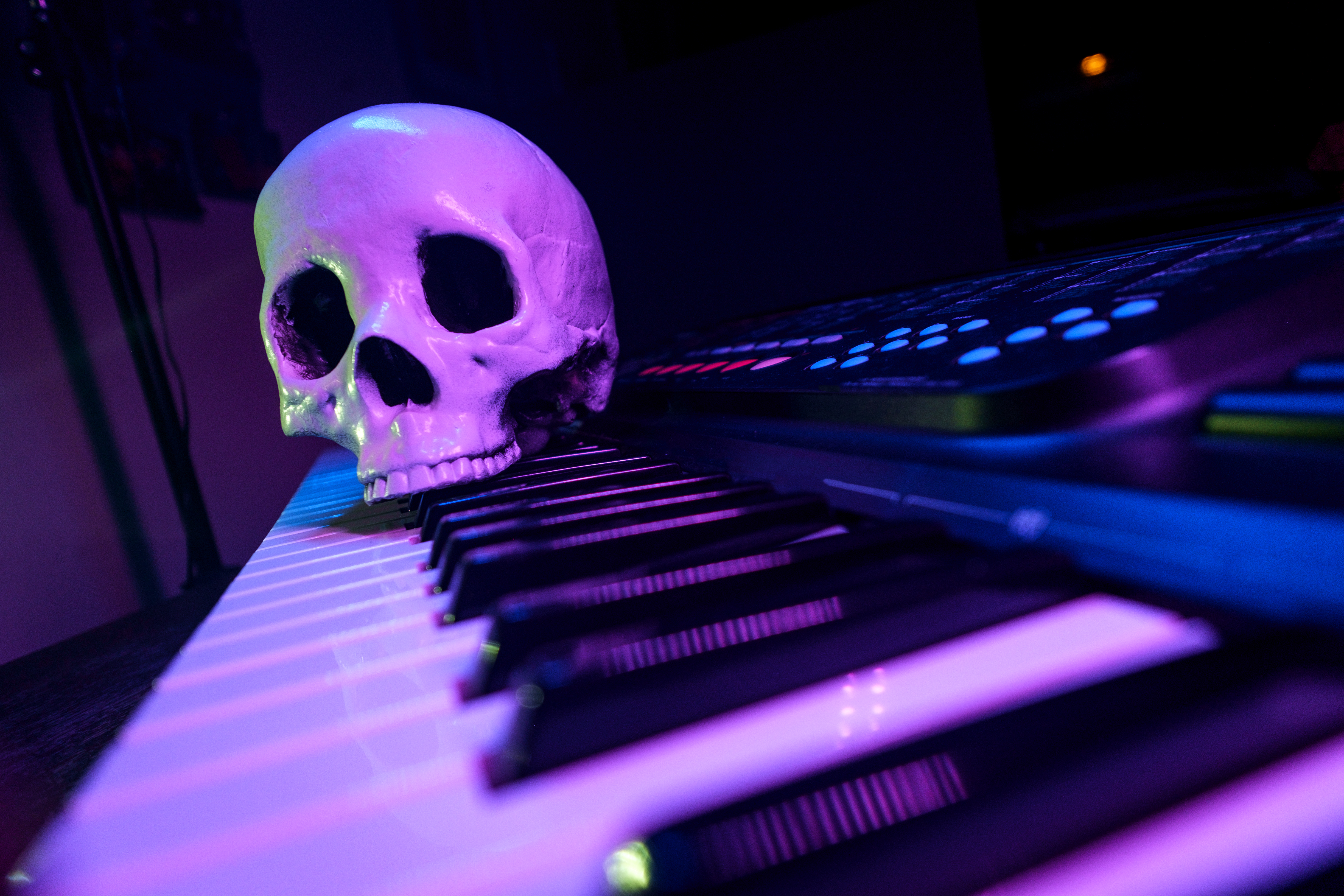 A Skull with a Piano