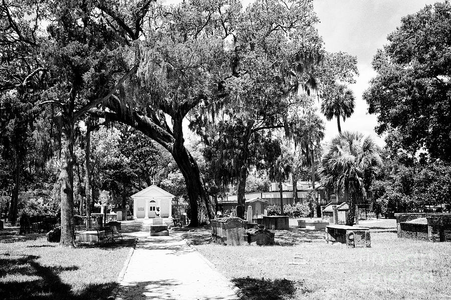 The Haunted Tolomato Cemetery, which is said to be one of the most haunted places in St. Augustine, and the most haunted cemetery.